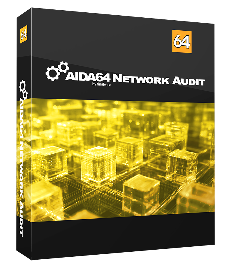 AIDA64 Network Audit